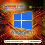 Windows 11 Pro for Workstations